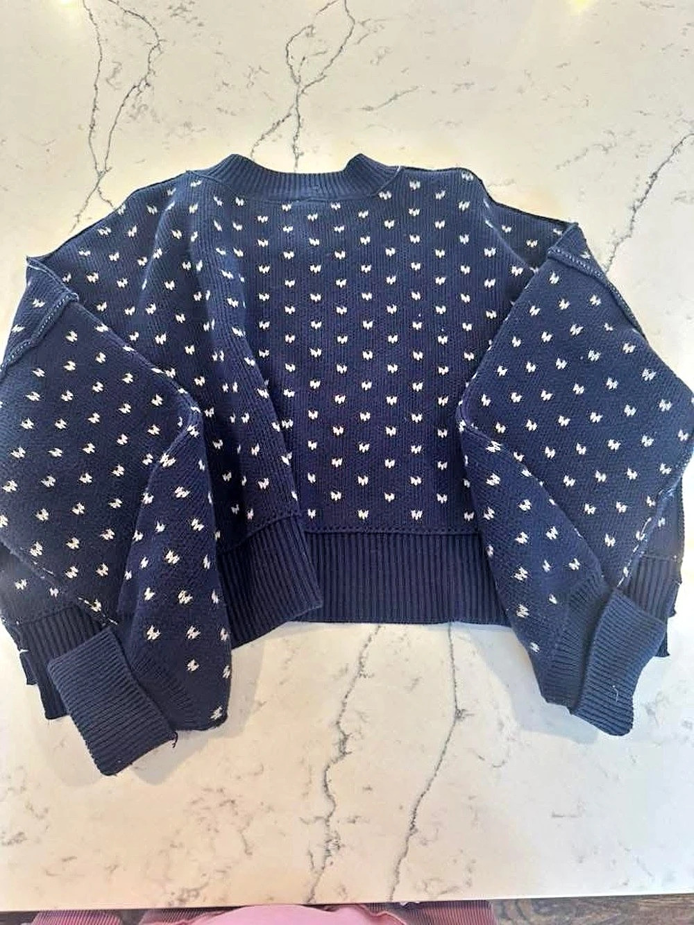 Free People  Cropped Sweater in Blue & White Like New